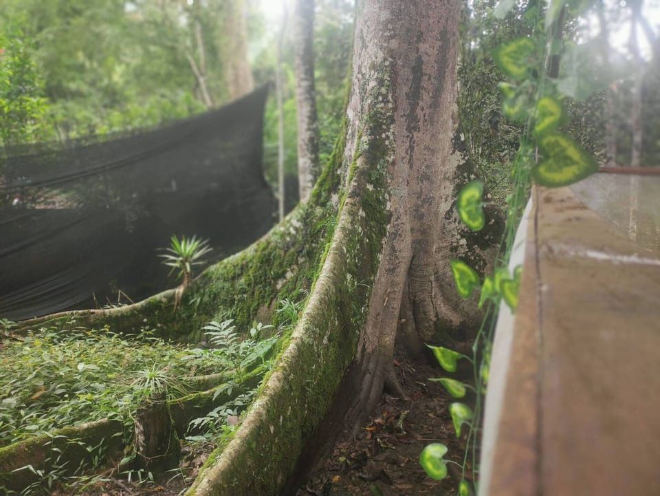 Cabin, 3 Bedrooms, Smoking, Balcony | Property grounds