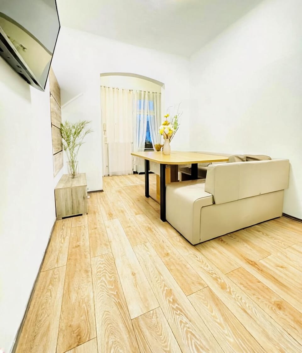 Basic Apartment | Private kitchen | Fridge, microwave, oven, stovetop