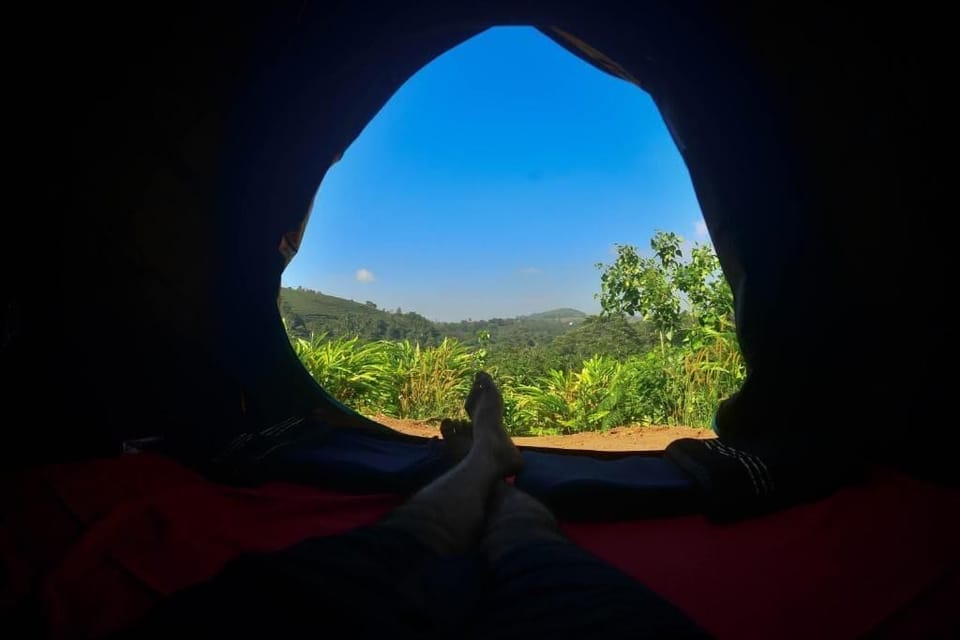 Double or Twin Room, Mountain View | View from property