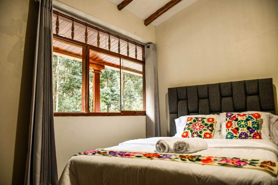 WiFi (free)