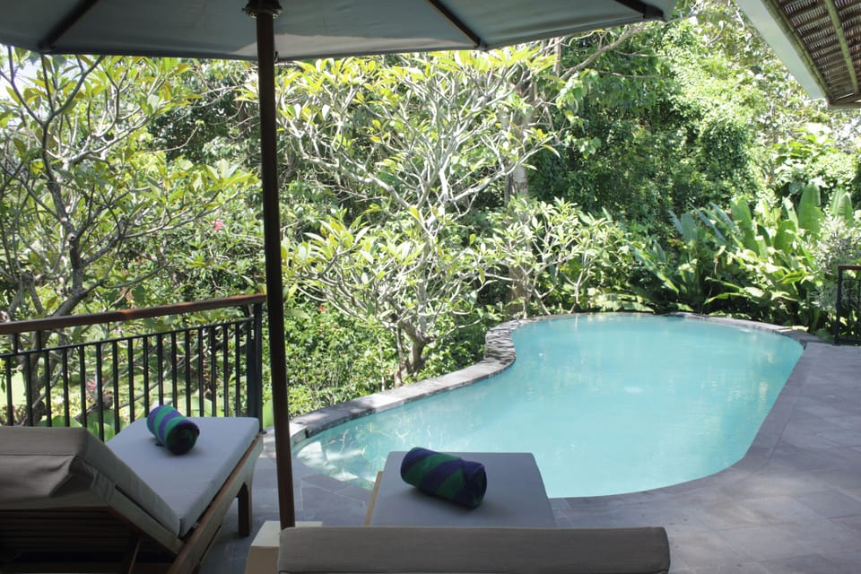 Deluxe Villa | Pool | Outdoor pool
