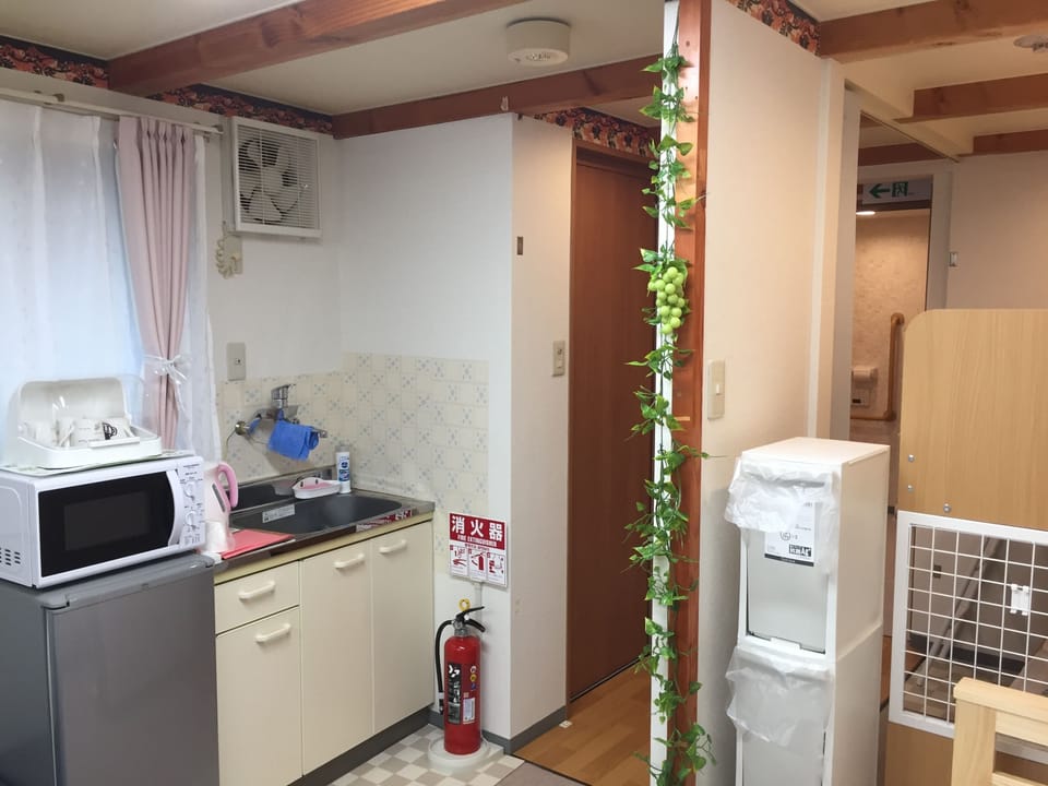 Family Apartment, Non Smoking, City View (1F) | Private kitchen | Mini-fridge, microwave, stovetop, cookware/dishes/utensils