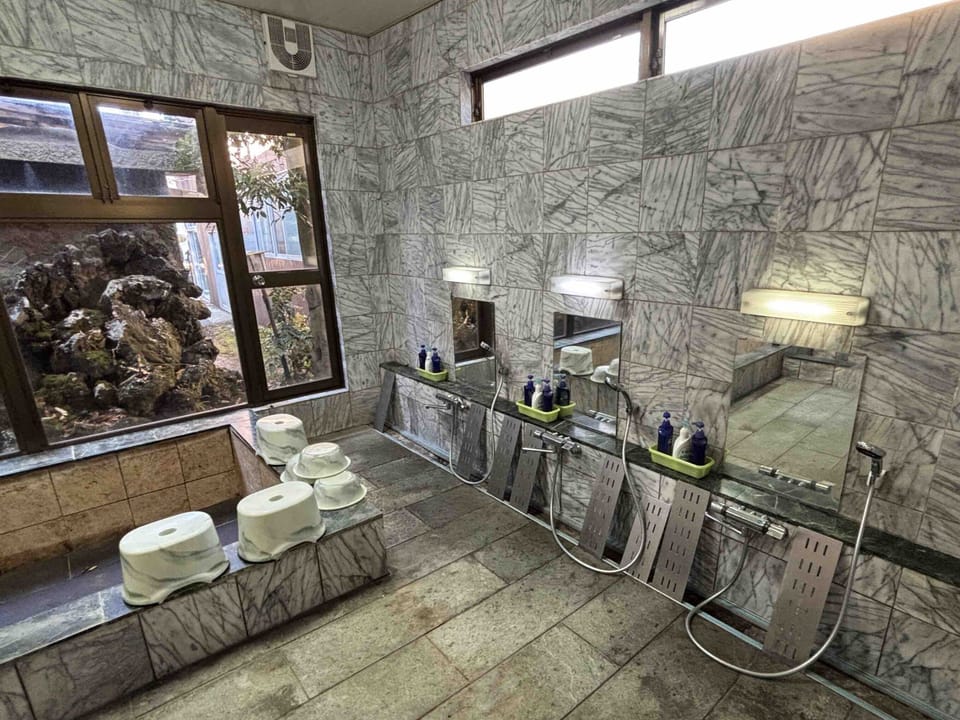 Combined shower/tub, hair dryer, towels, soap