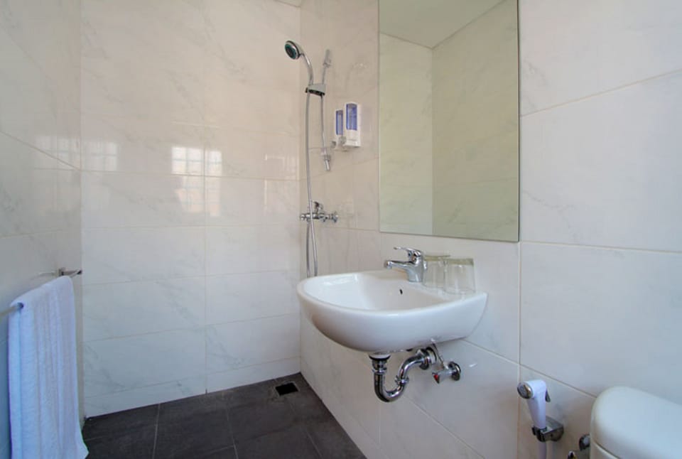 Sari Room | Bathroom | Shower, free toiletries, towels