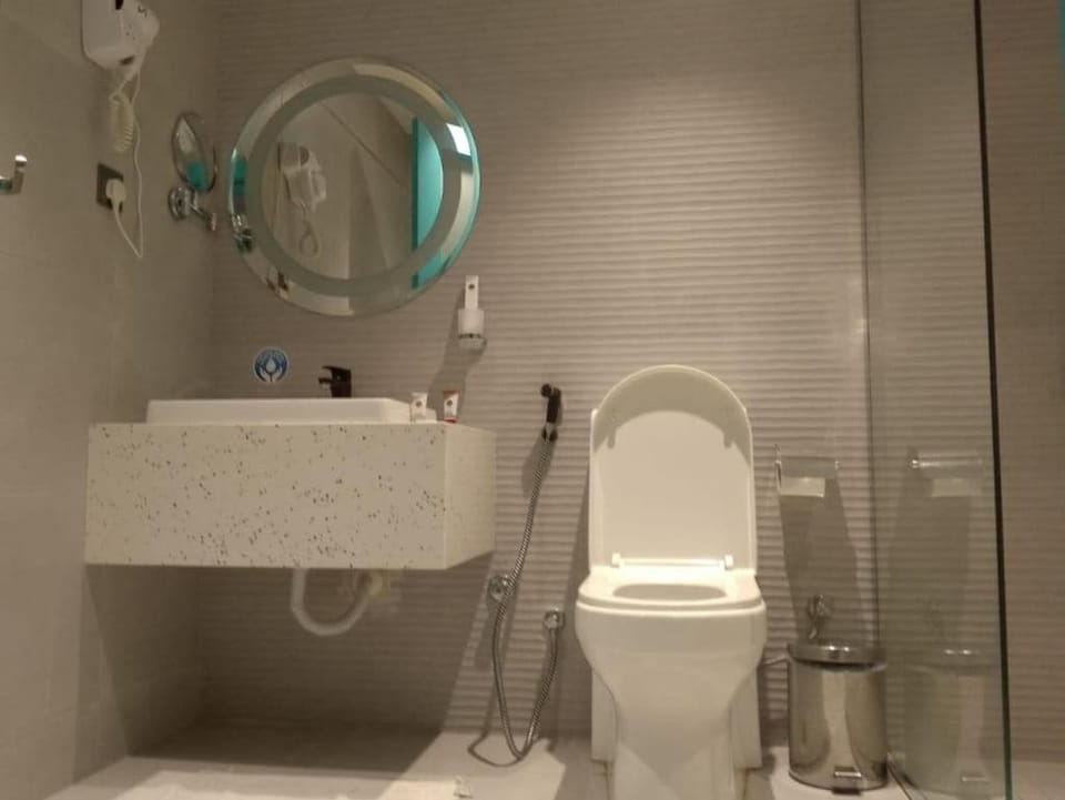 Hair dryer, slippers, bidet, towels