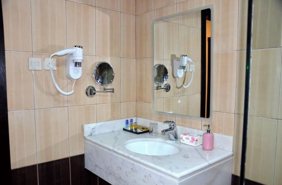 Shower, hair dryer, bidet, towels