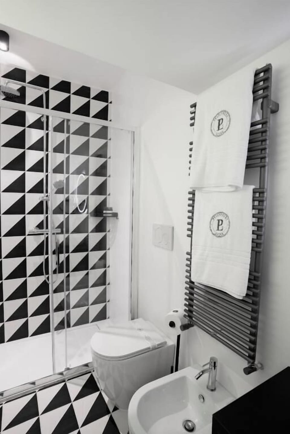 Hair dryer, slippers, bidet, towels