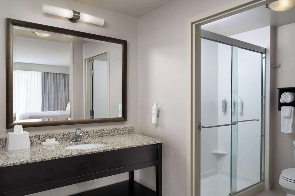 Studio, 1 King Bed, Non Smoking, Refrigerator & Microwave (Wet Bar) | Bathroom shower