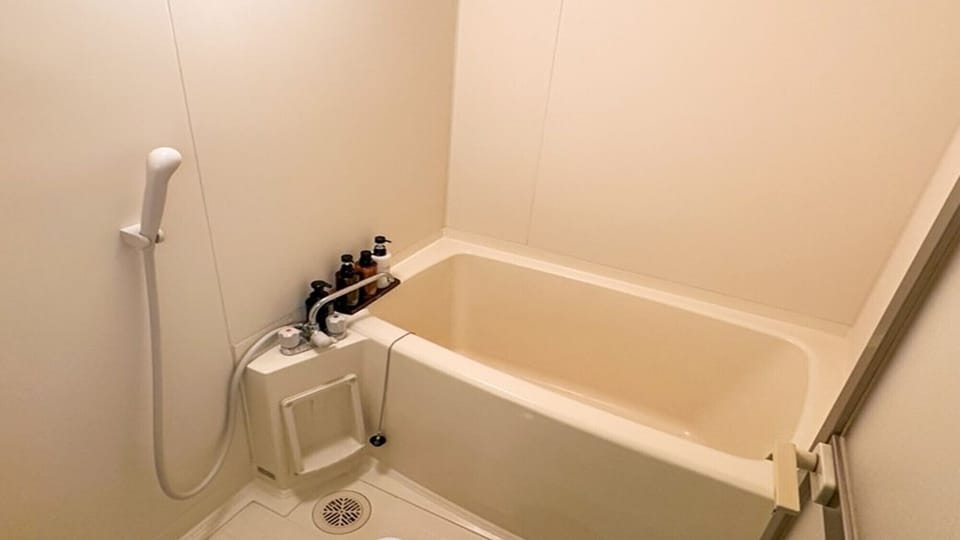 Combined shower/tub, hair dryer, towels, soap