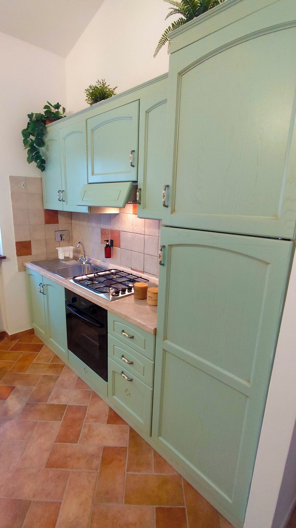 Arya | Private kitchen | Fridge, oven, stovetop, cookware/dishes/utensils