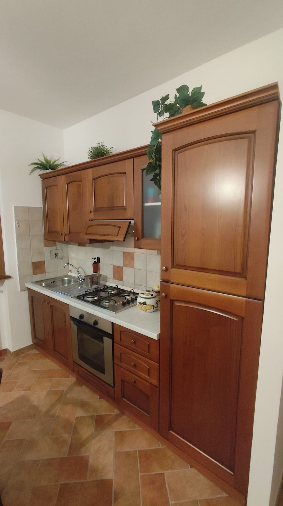 Fridge, oven, stovetop, cookware/dishes/utensils
