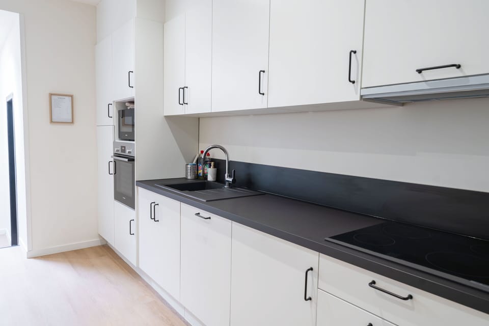 Basic Apartment | Private kitchen | Fridge, microwave, oven, stovetop