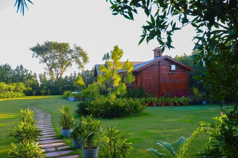 Deluxe Villa | Property grounds