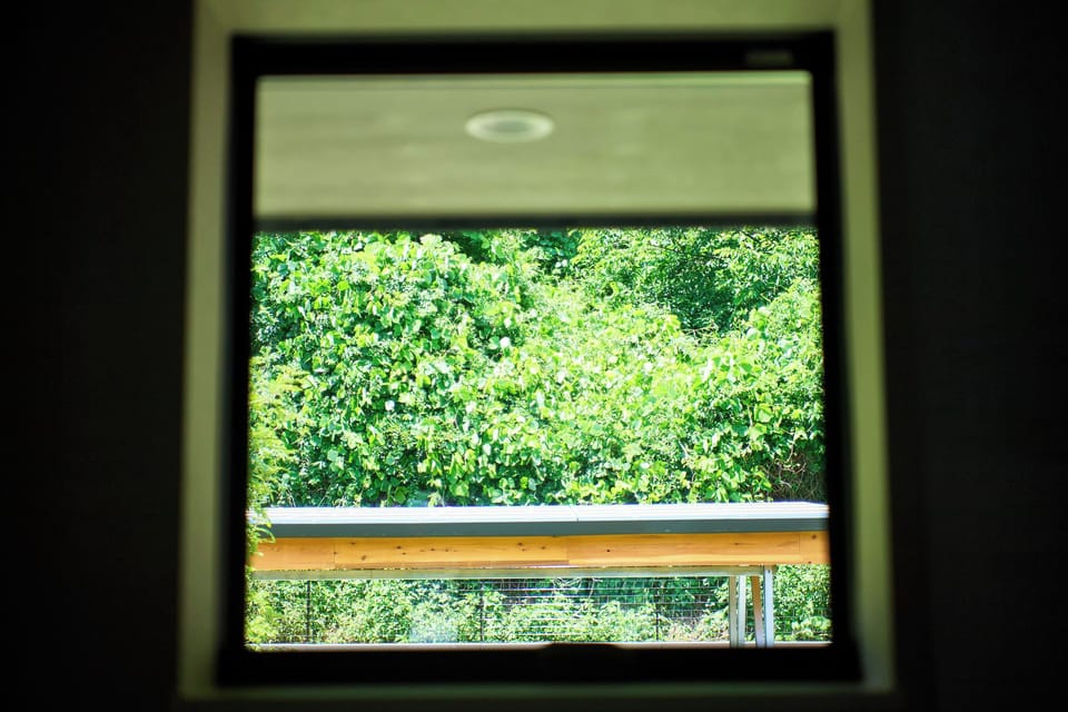 View from room