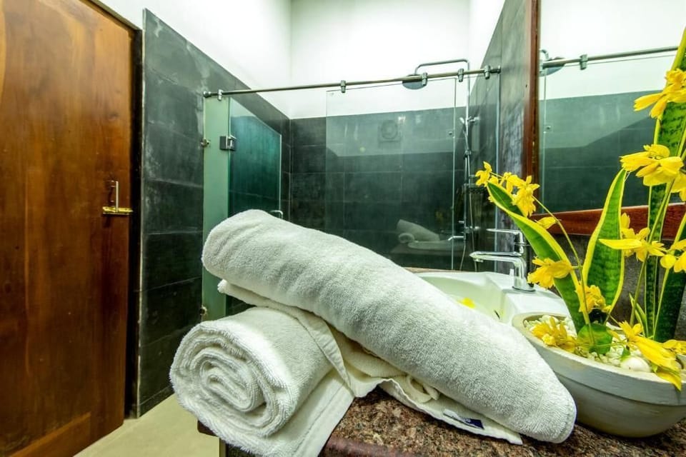 Shower, free toiletries, bidet, towels