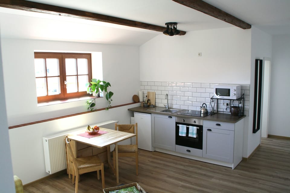 Classic Apartment, 2 Bedrooms, Pets Allowed, Garden View | Private kitchen | Fridge, microwave, oven, stovetop