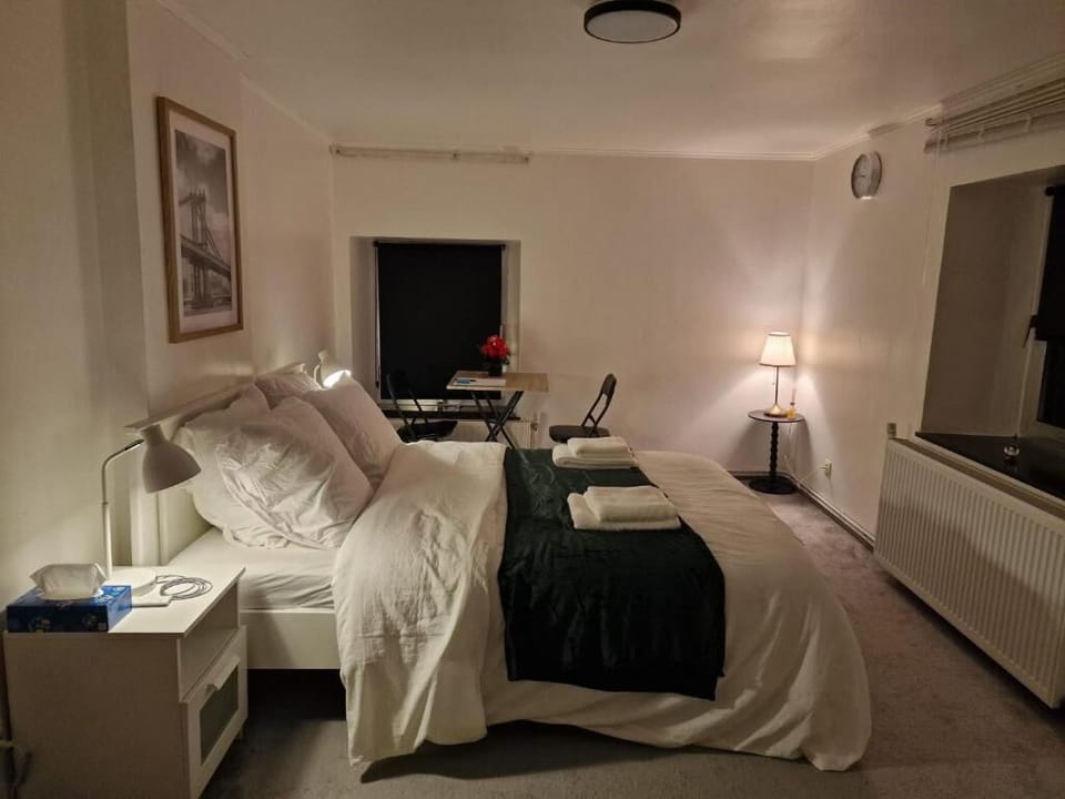 Deluxe Double Room, Garden View | Soundproofing, iron/ironing board, free WiFi, bed sheets