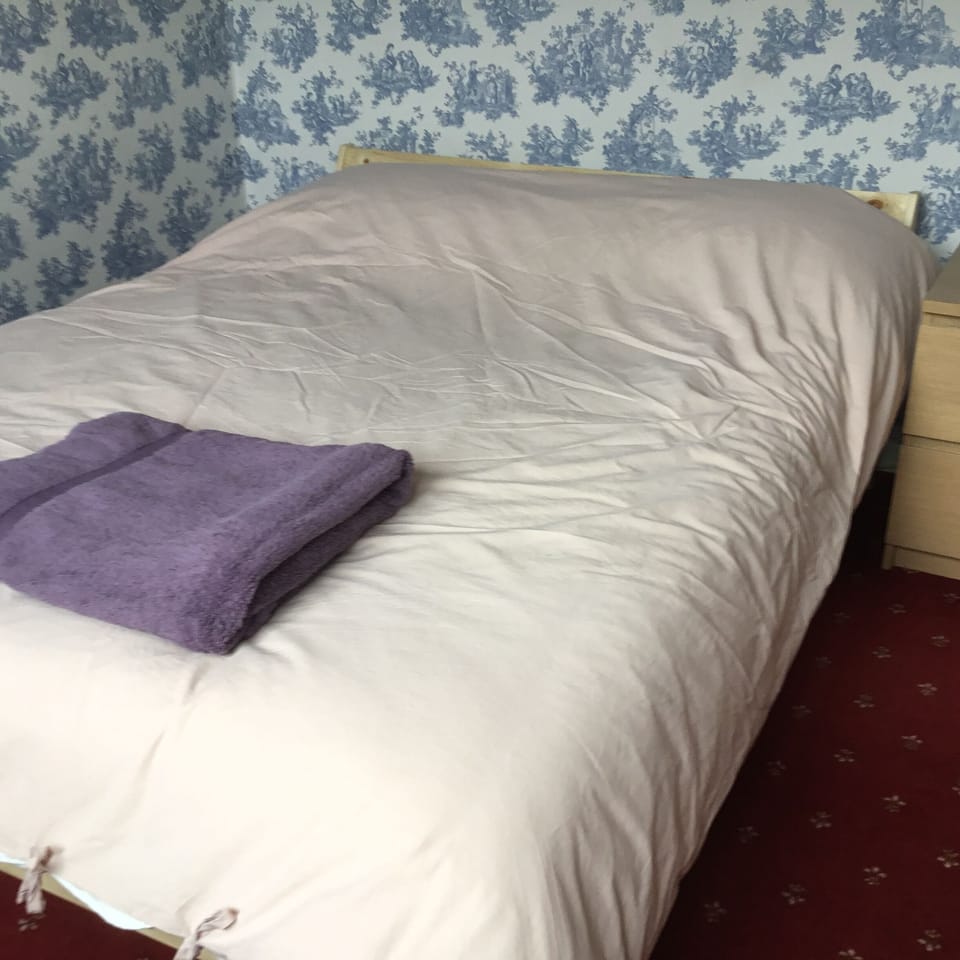 Double Room, Garden View | Desk, laptop workspace, free WiFi