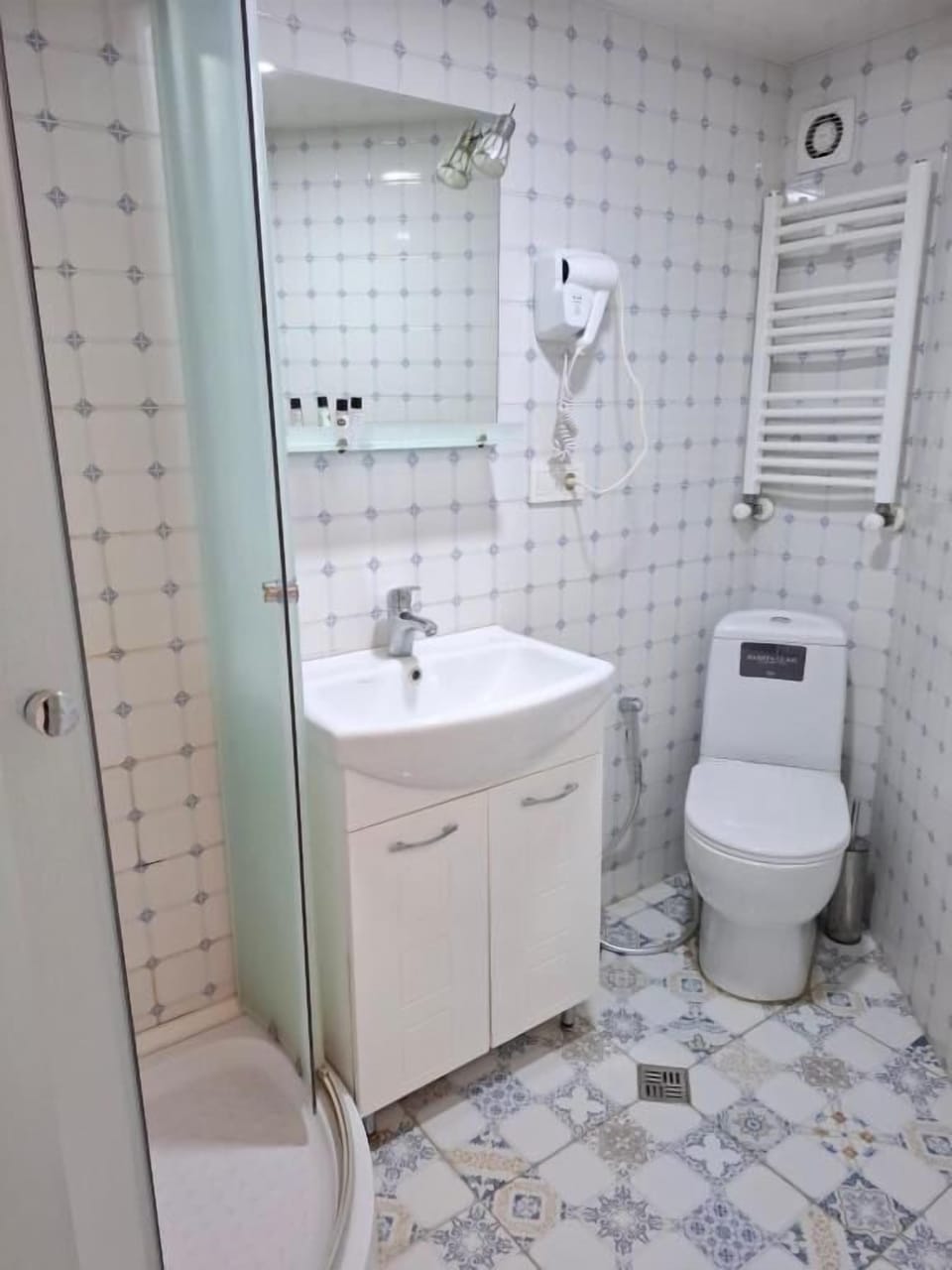 Free toiletries, hair dryer, bidet, towels