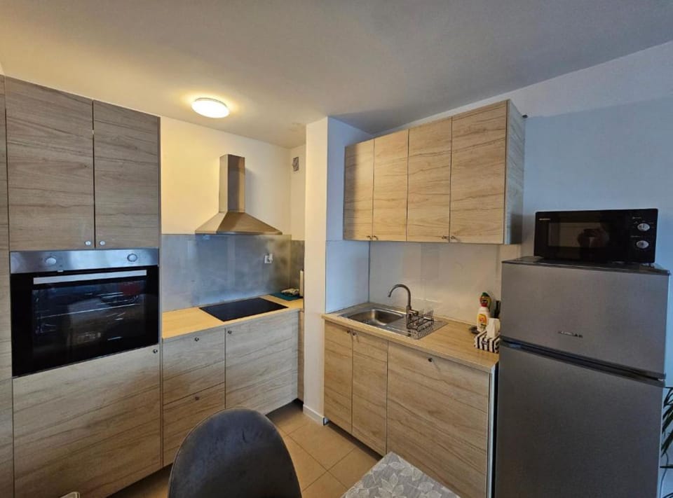 Apartment (Apartman FITT) | Private kitchen | Fridge, cookware/dishes/utensils
