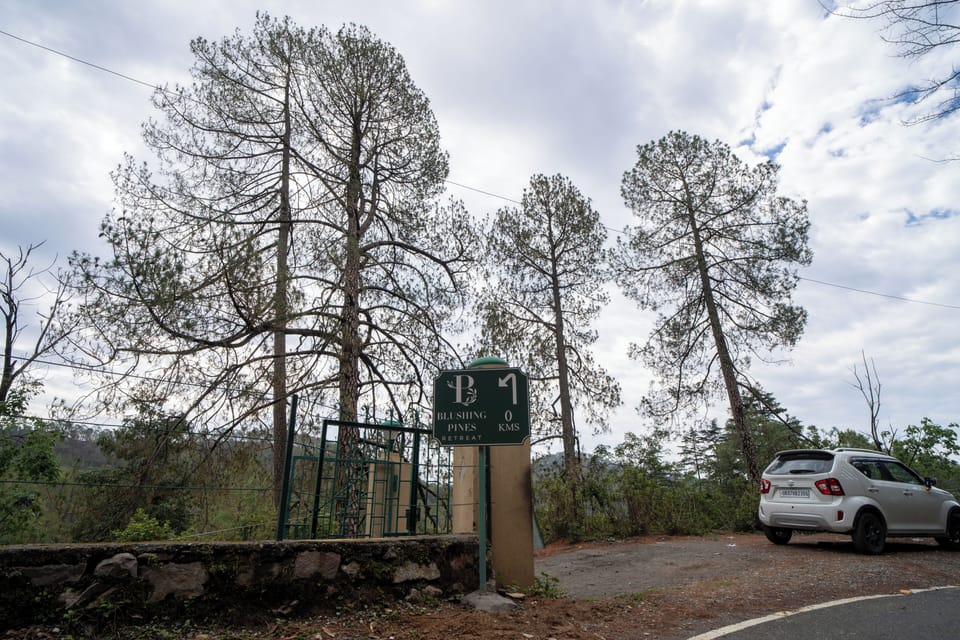 Free self parking