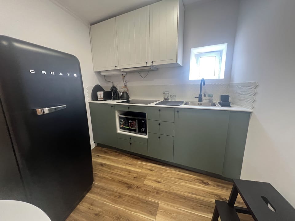 Classic Apartment | Private kitchen | Full-size fridge, microwave, oven, stovetop