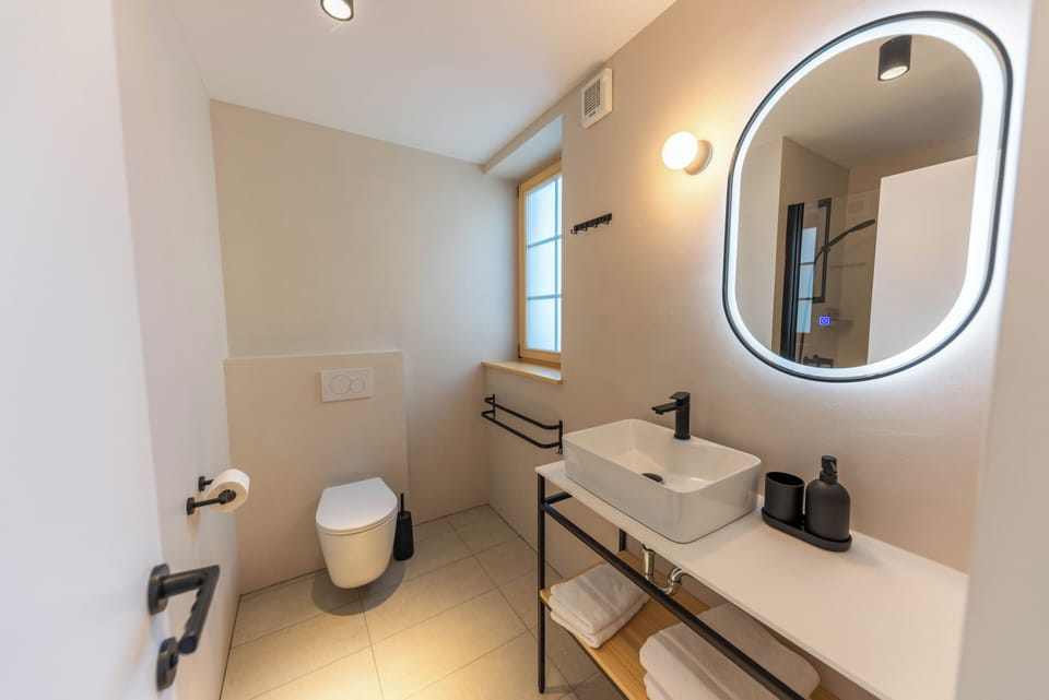 Classic Double or Twin Room | Bathroom | Shower, hair dryer, towels, soap