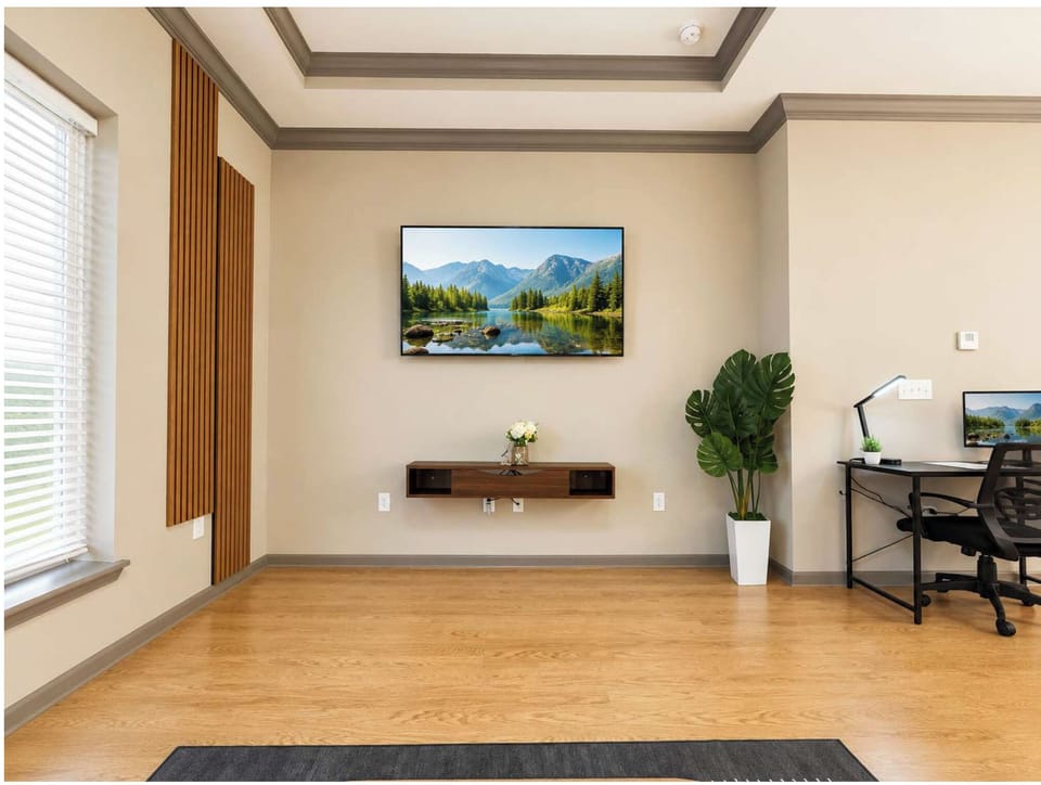 Television