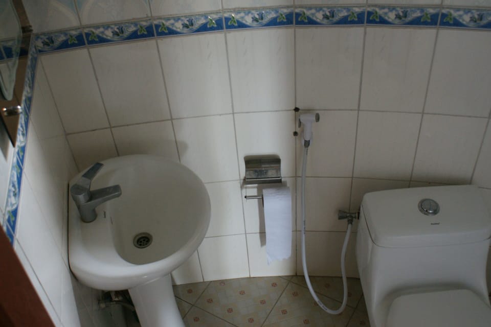 Shower, towels, soap, toilet paper