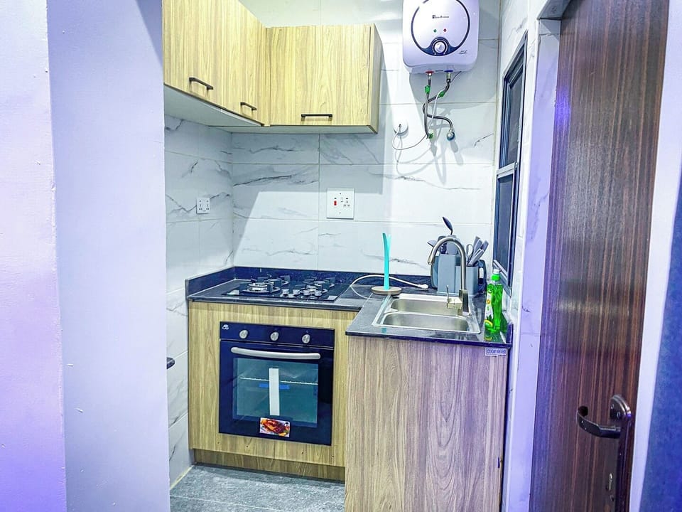 Family Apartment, Balcony, City View | Private kitchen | Fridge, microwave, oven, stovetop
