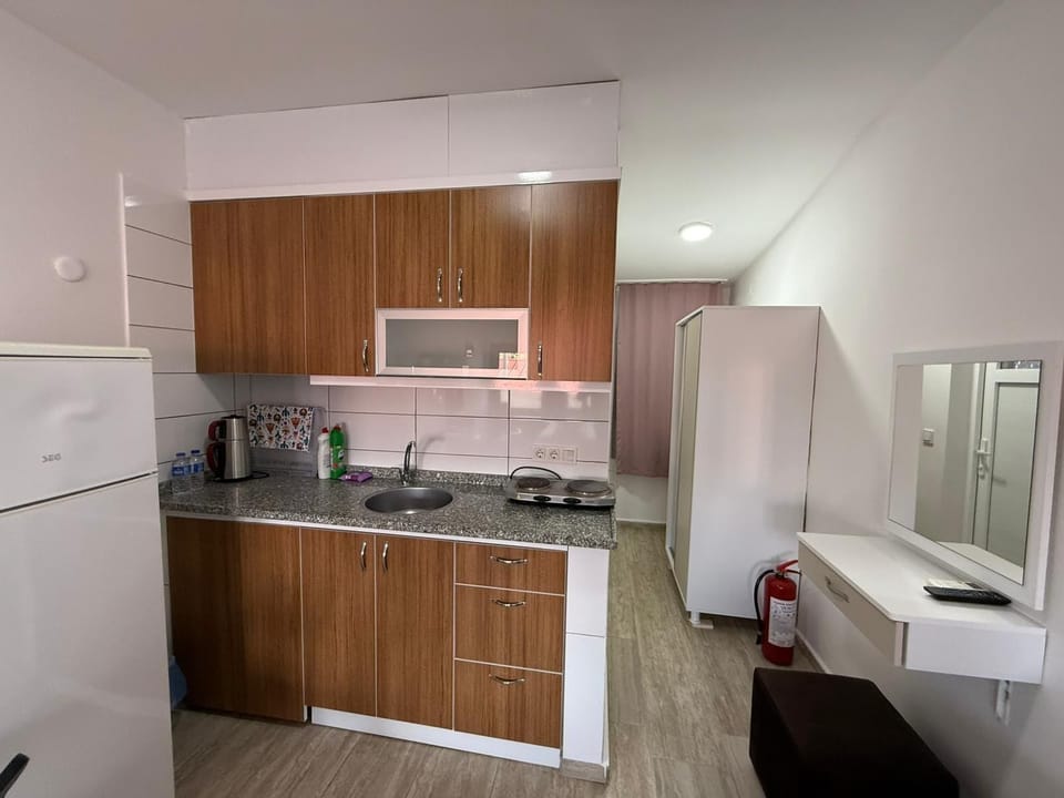 Apartment, City View | Private kitchen | Fridge, cookware/dishes/utensils