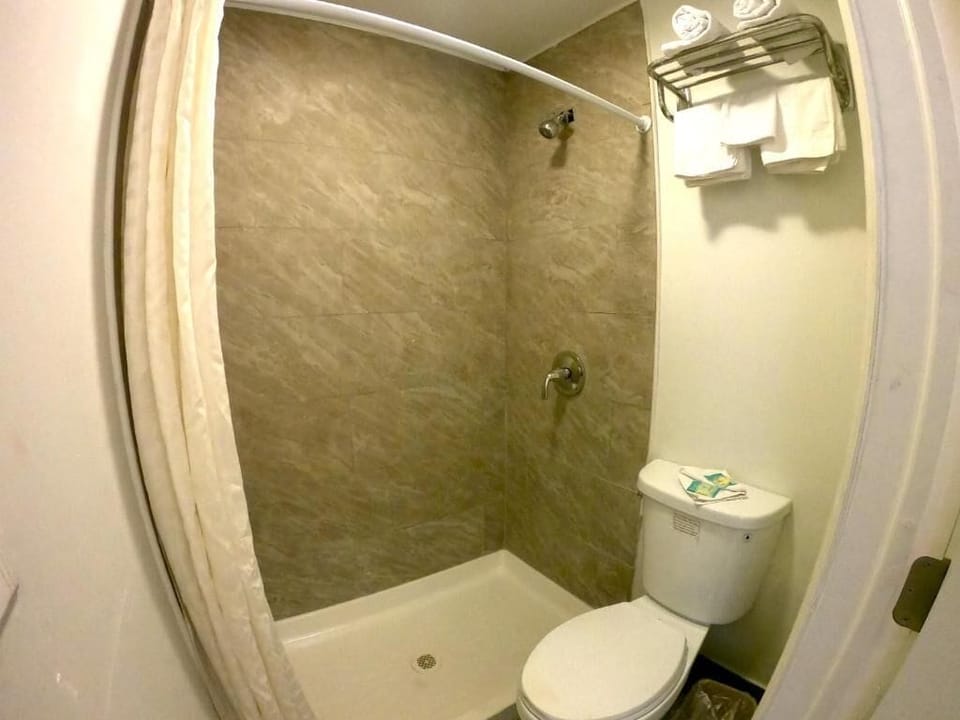 Comfort Single Room, Patio | Bathroom | Towels