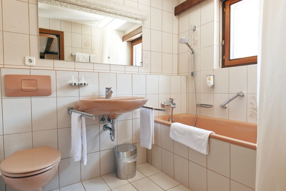 Towels, soap, shampoo, toilet paper
