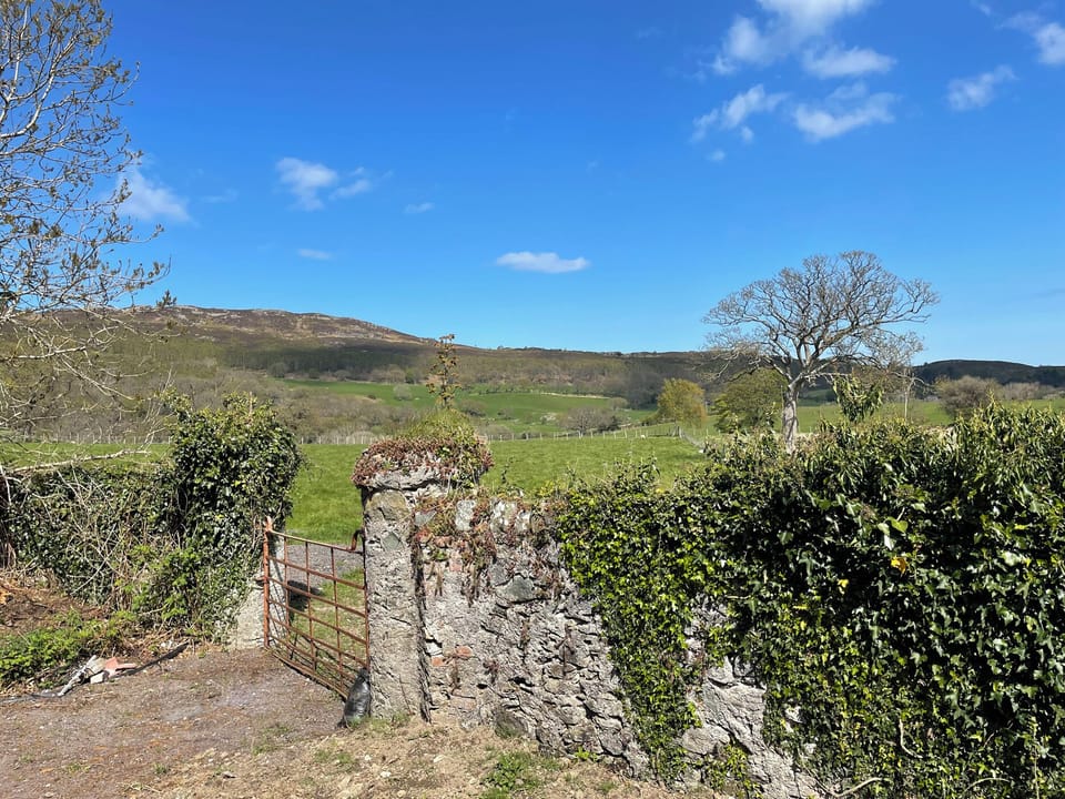 Cottage | Miscellaneous