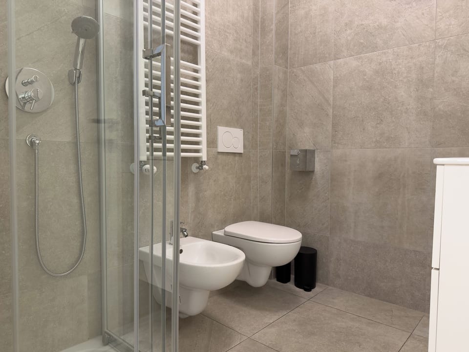 Deluxe Studio | Bathroom | Shower, hair dryer, towels, soap