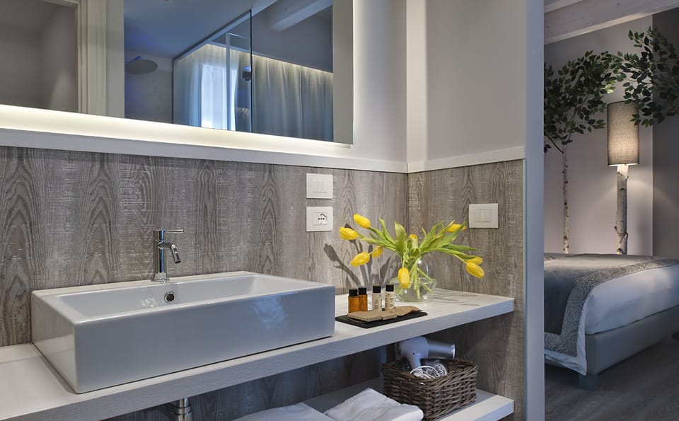 Shower, free toiletries, hair dryer, bidet