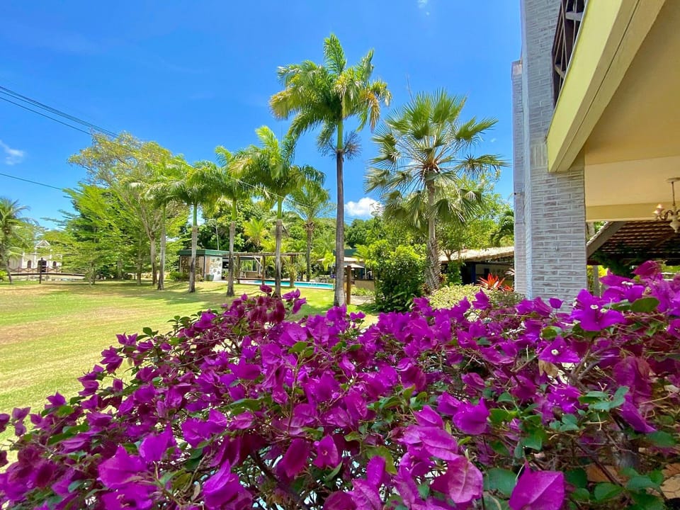 Villa | Property grounds