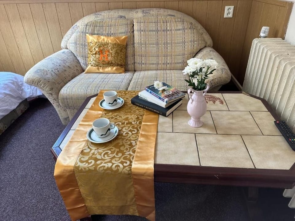 Comfort Apartment | Living area