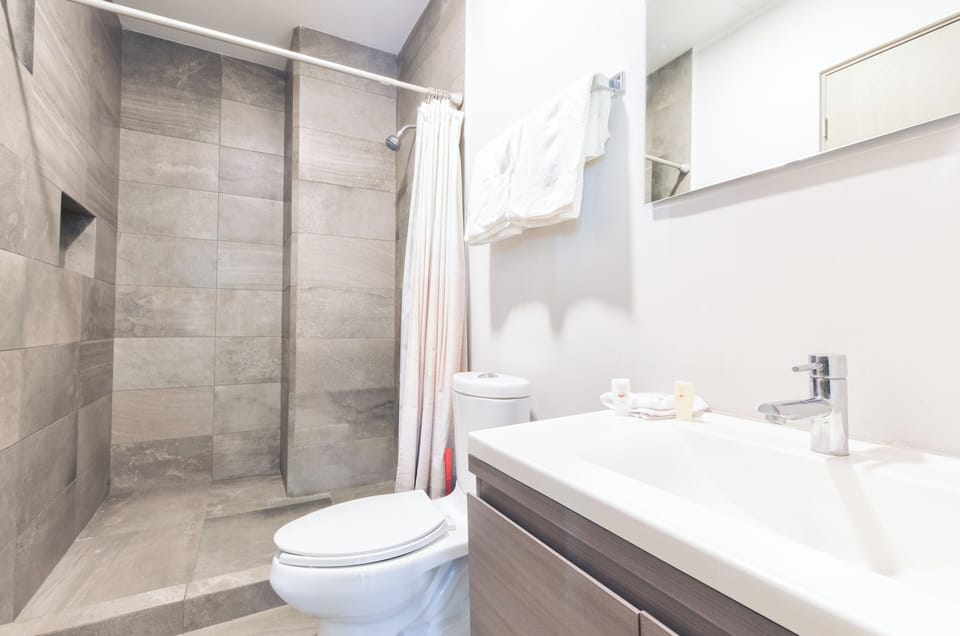 Deluxe Suite, City View | Bathroom | Shower, free toiletries, hair dryer, towels