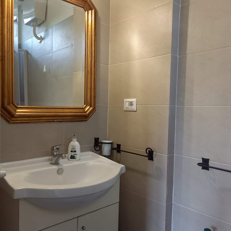 Classic Double or Twin Room, Garden View | Bathroom | Shower, hair dryer, towels, soap