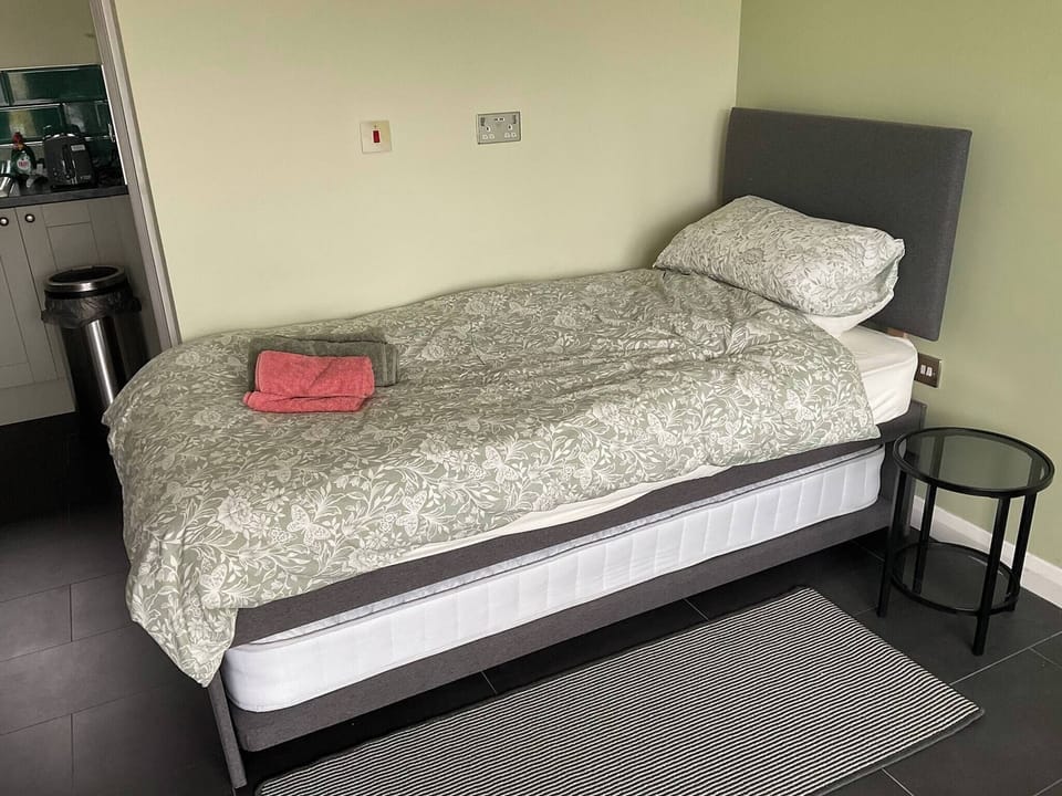 Studio, 1 Bedroom, Terrace, Mountain View | 1 bedroom