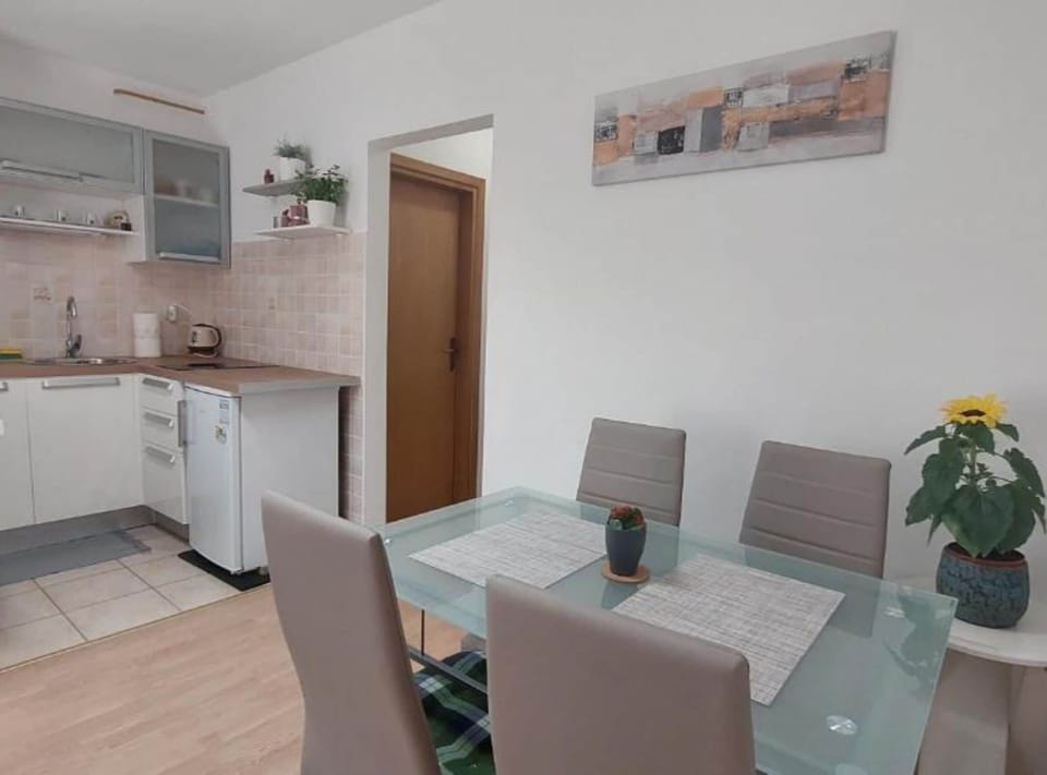 Studio (Boutique Studio Pula) | Private kitchen | Fridge