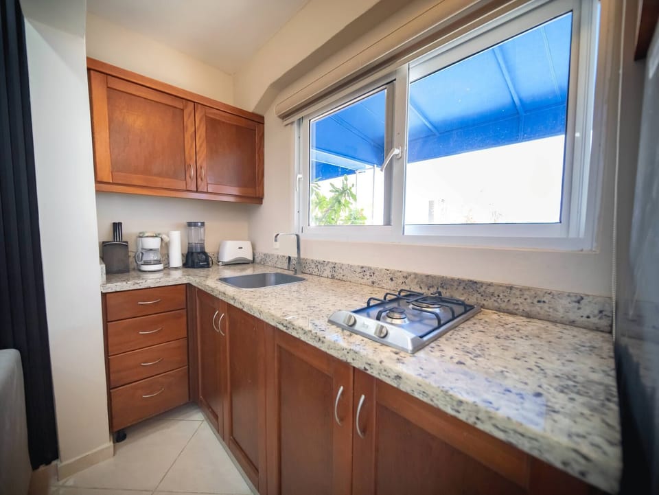 Apartment, 1 Bedroom, Accessible, Patio | Private kitchen