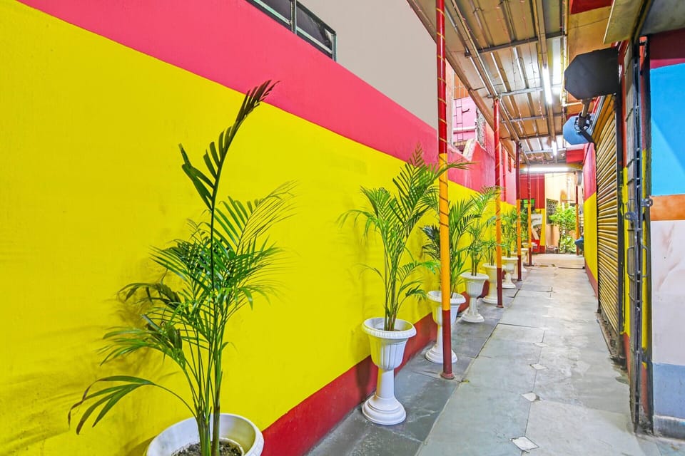 House | Property grounds