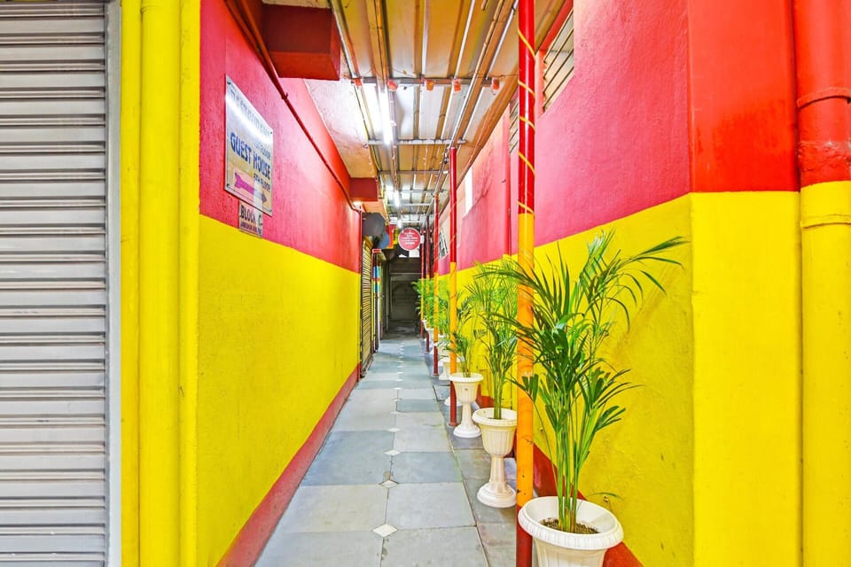 House | Property grounds