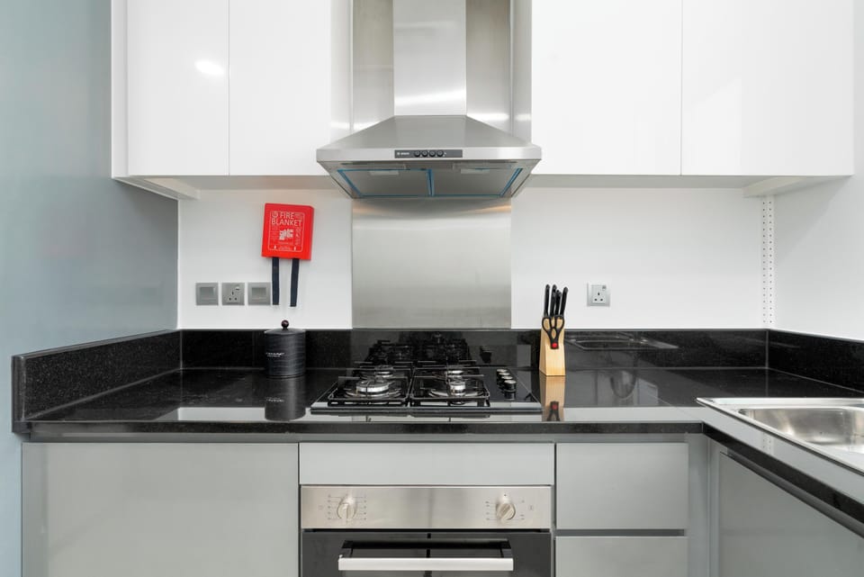 Business Apartment, 2 Bedrooms, Kitchen, Bay View | Private kitchen | Eco-friendly cleaning products