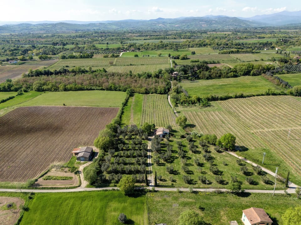 House, Courtyard View | Aerial view