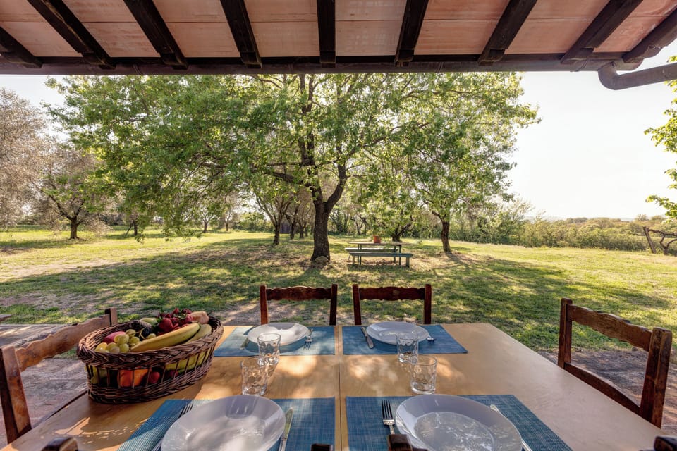 House, Courtyard View | Outdoor dining