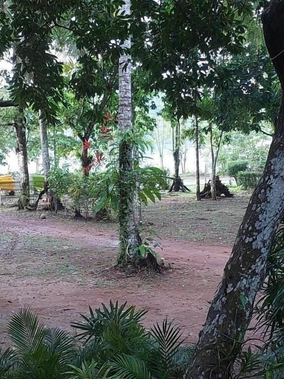 House, 1 Bedroom, Balcony, Ocean View | Property grounds