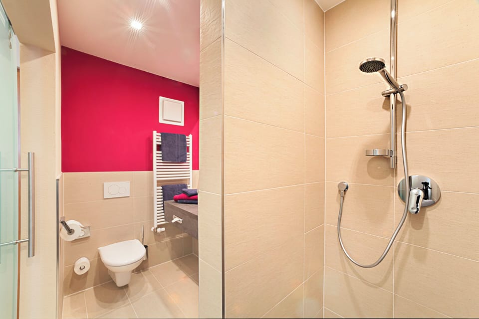 Shower, free toiletries, hair dryer, towels